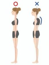姿勢と腰痛について　ZEROSPO-ADVANCE新潟万代